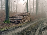 https://langweilige-landschaften.de/files/dimgs/thumb_0x200_2_17_29.jpg
